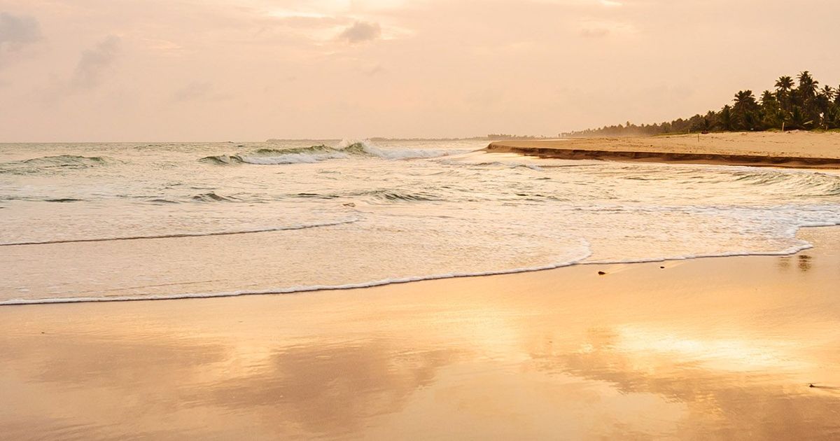 Plant Trees Obituary, Charlotte, NC