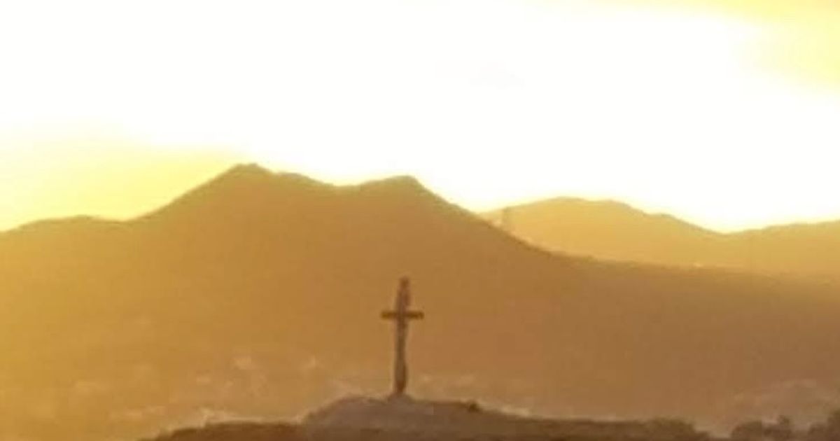 Betty Rose Hayes Carson