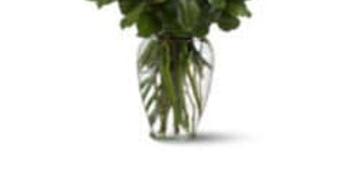 Judy Trimiar Toccoa, GA Obituary