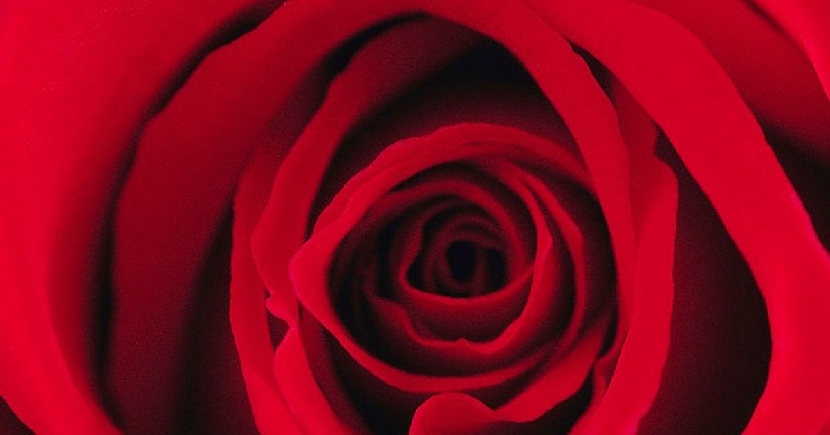 Plant Trees Obituary, Aliceville, AL