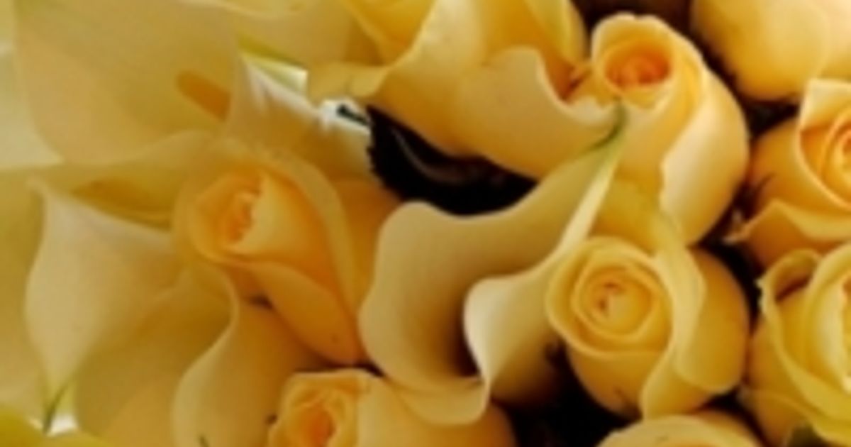 Larry Winston White Obituary, Lafayette, AL