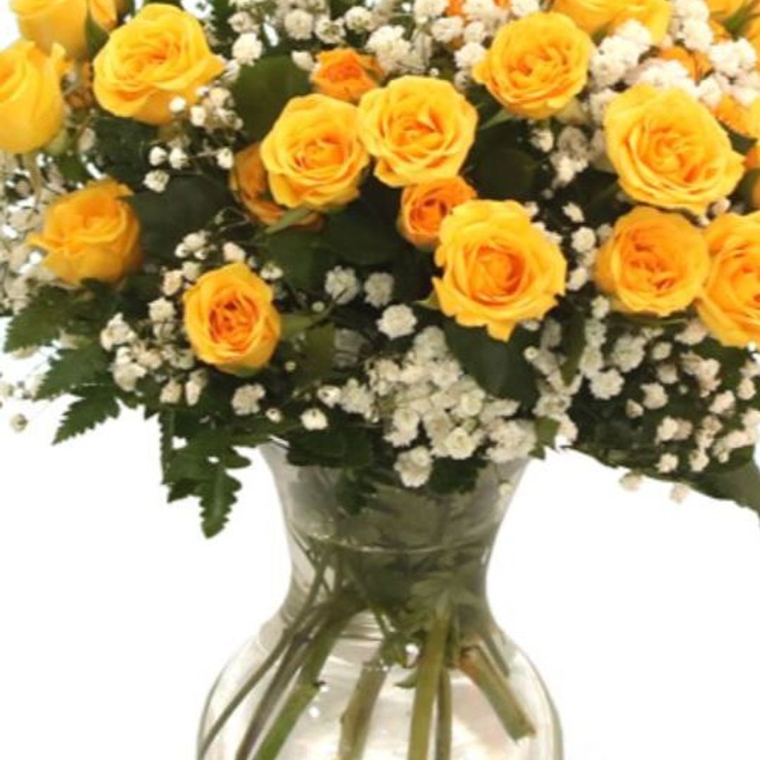 Linda Ann Mathis Obituary in Pendergrass at Central Cremation Services ...