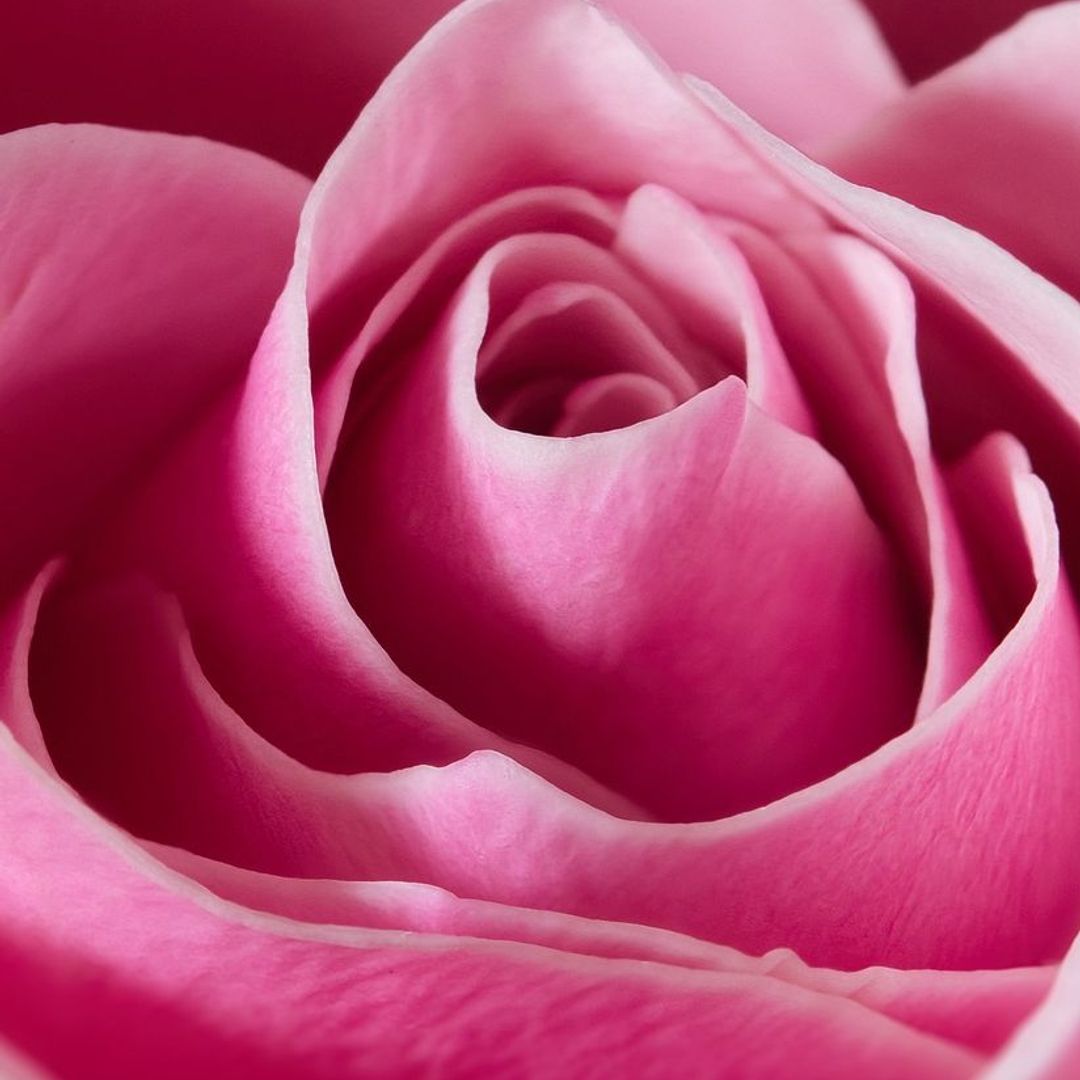 Betty Jo Rooks Obituary in Pendergrass at Central Cremation Services | Obit
