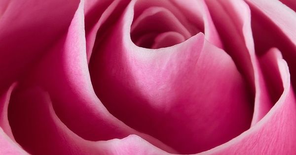 Betty Jo Rooks Obituary in Pendergrass at Central Cremation Services | Obit