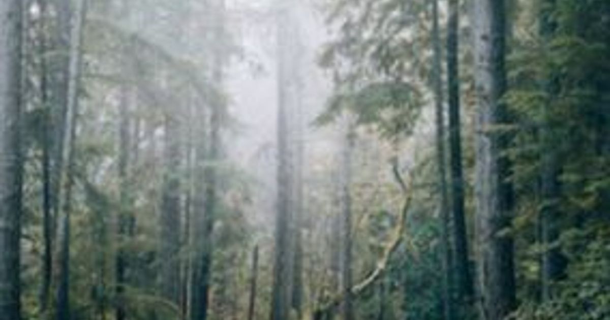Ralph Ronald Rhodes Obituary in Pendergrass at Central Cremation ...