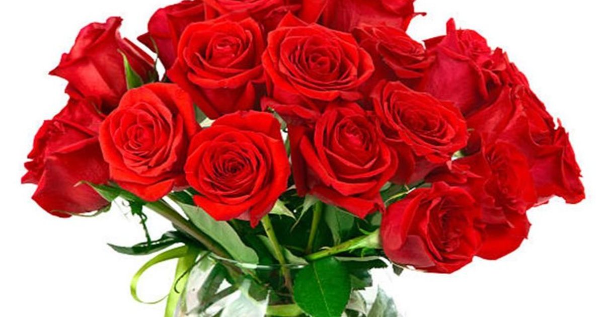 Armando Flores Obituary, Dalton, GA