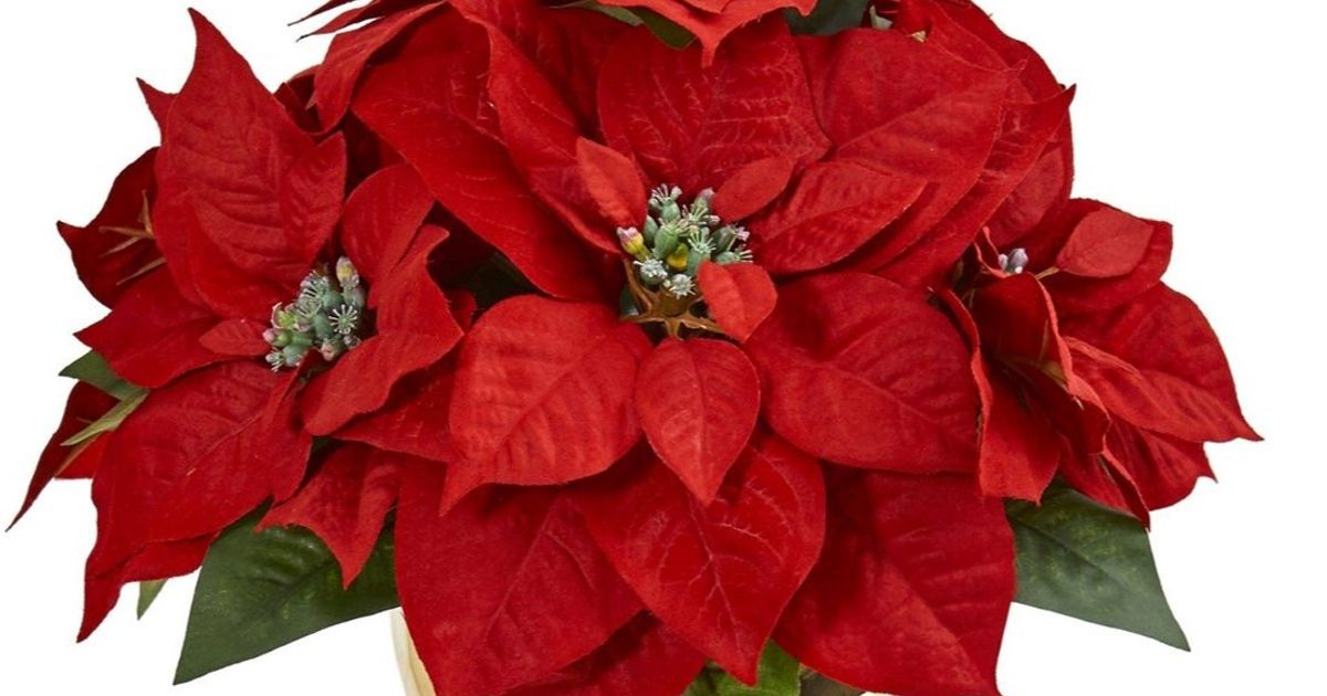 Stilman Cunningham Obituary, Dalton, GA