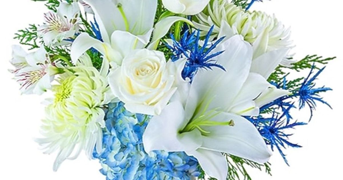 Miguel Angel Cerda vila