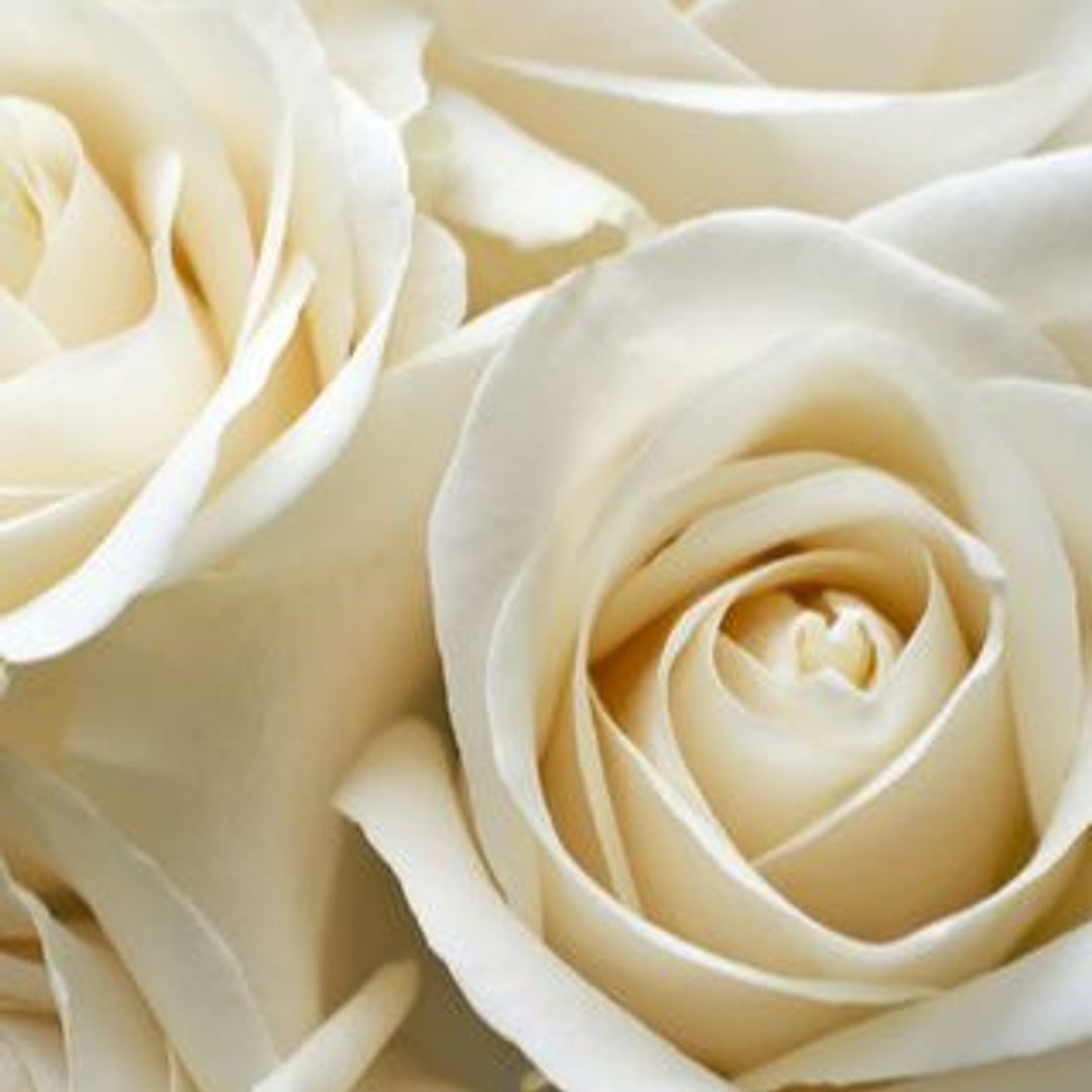 Barbara Branch Obituary in Warrenton at Boyd's Funeral Service | Obit