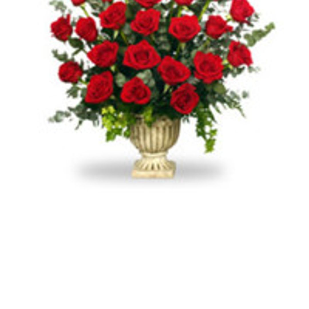 Myra Elaine Harris Obituary in Warrenton at Boyd's Funeral Service Obit