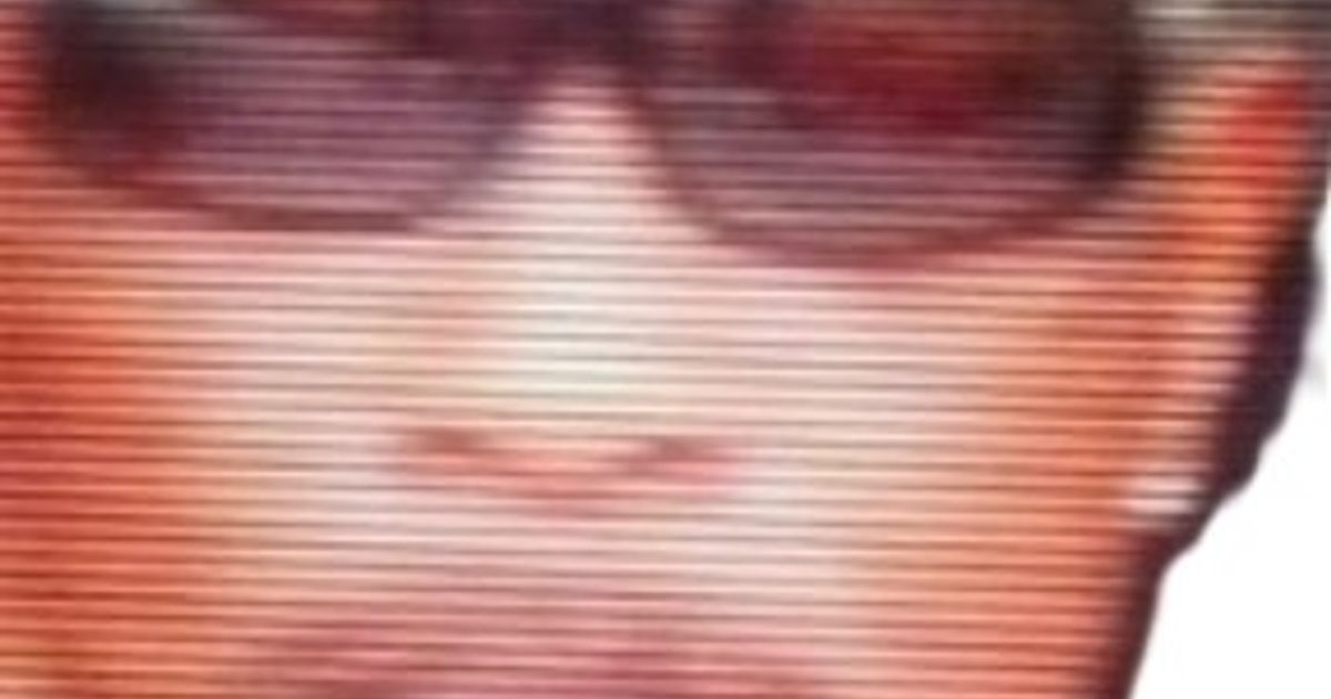 Lawrence Mcclendon Obituary, Talladega, AL