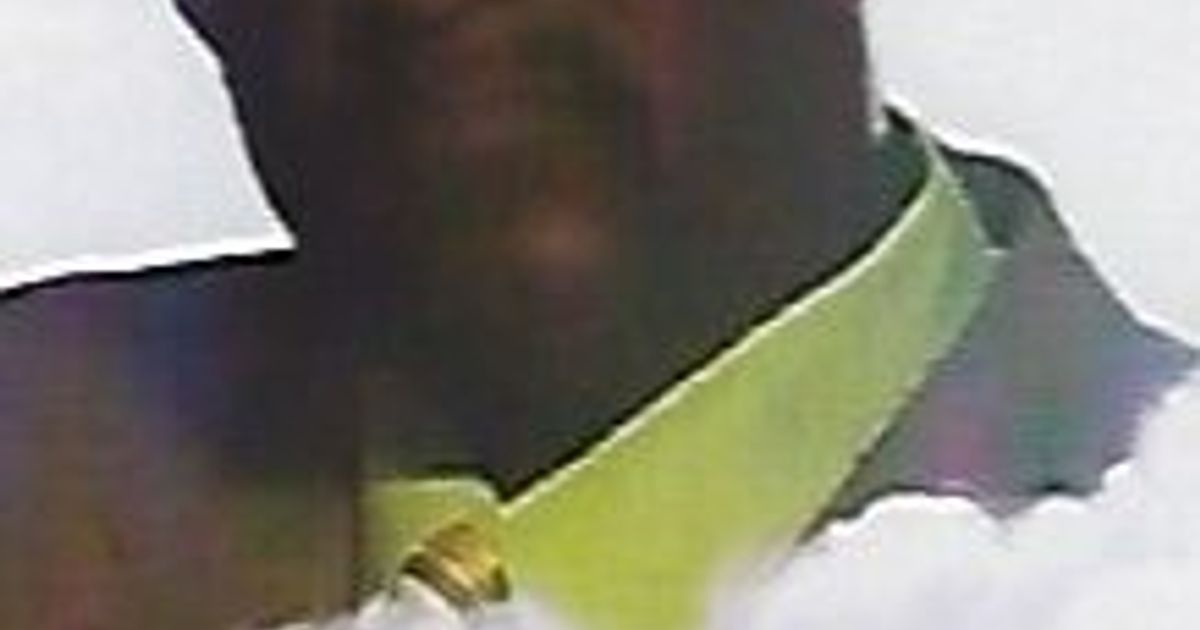 Sr. William Floyd Fair