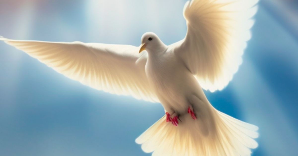 William Mccurry Rutherfordton, NC Obituary