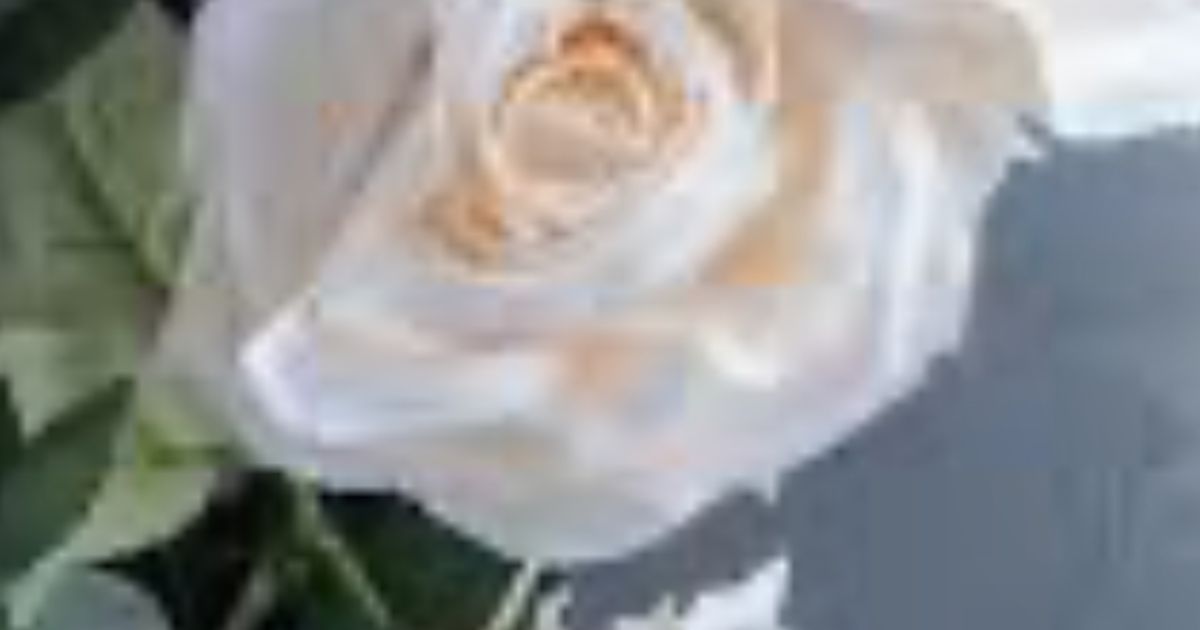 Janet Wood Rutherfordton, NC Obituary