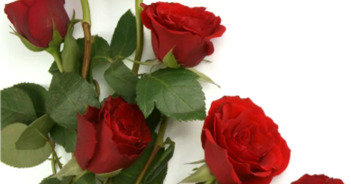 Glenise Twitty Rutherfordton, NC Obituary