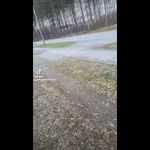 9683e5cbbb784fe5a7853c3cde8a1dd8.0000000