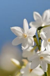 José  Hernán  Acuña Inostroza