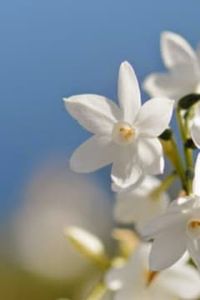 Laura Del Carmen Riquelme Hormazábal