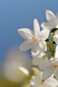 Juan  Ángel Patricio Palacio Castillo