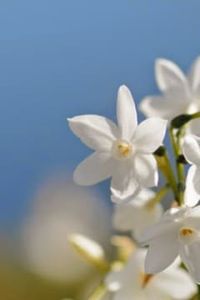 José Baldomero Andana Escobar 