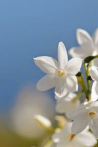 Marcelo  Iván  Valenzuela Yáñez 