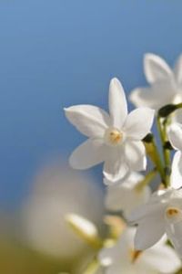 Luis  Nicanor  Ramos Fernández 