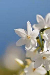 Judith  Sarela Rodríguez Del Río