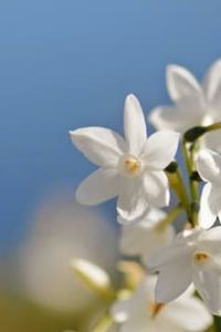 Orlando  Segundo  Otárola Garrido 