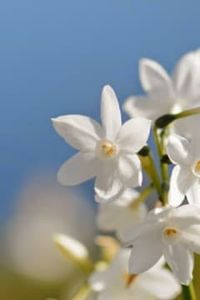 Carmen  Rita Gutiérrez Gutiérrez