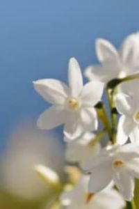 Jacob  Albornoz Epuante