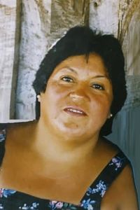 Luz Del Carmen Villarroel Pinilla