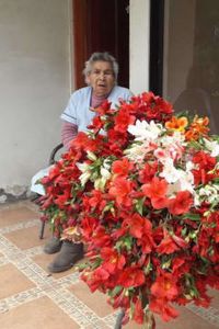 Olga Del Carmen Ruiz Olate