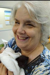 Janis Friedlander King