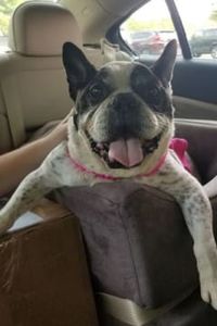 Tuna Gammon-Megginson 