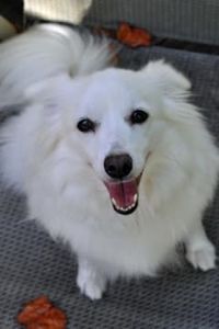 Sophie Stuckey-Kagann 