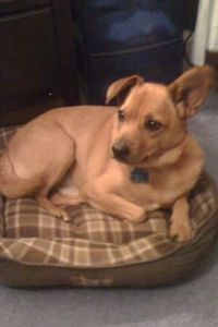 Maximo Alejandro Font 