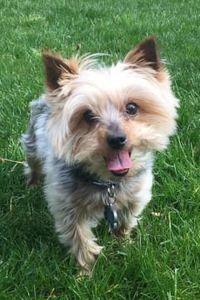 Franklin Alexander Jensen 