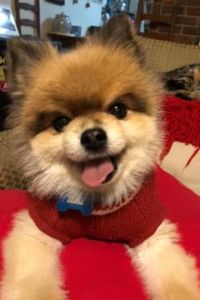 Kaibo Hampton Flashes 