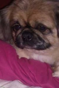 Skipper Bartholomew Reid 