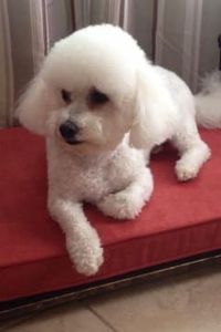 Blue  Armstead-Miller  