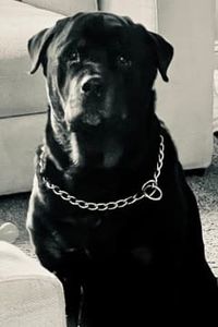 Vin Diesel Von SedarHaus Pope 