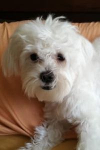 Cotton Latham-Frazier 