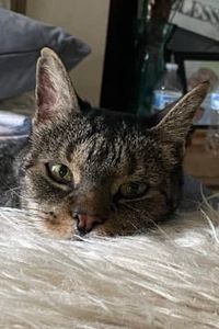 Luther Vandross James 