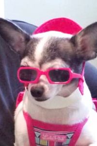 Tasheba Necole Perdue 