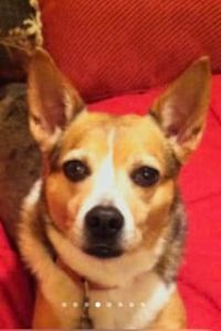 Simone Michelle Neal 