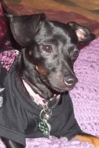 Dixie Marie Boatright 