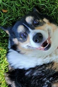 Bailey Maria Barrios-Hunter  