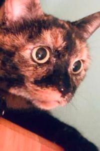 Tootie Ann  Armstrong  