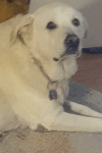 Nzuri Marley Paige Knighten  