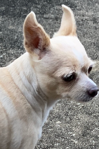 Pinkypie Rose Tyler Perry 